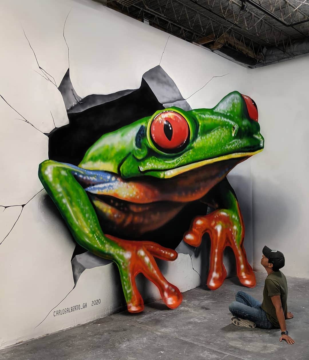 20 потрясающих 3D-граффити от художника из Мексики, чьи работы так и норовят выпрыгнуть на волю 77