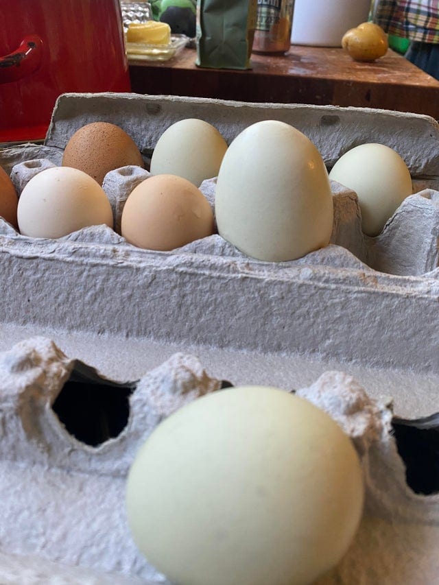 15 фотографий странных куриных яиц, которые доказывают, что даже такая простая вещь может быть удивительной 49