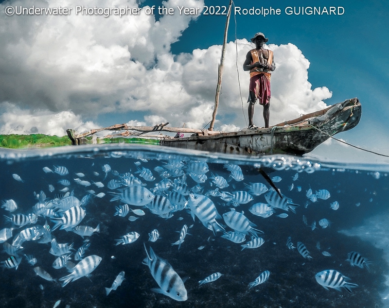 19 фото с конкурса Underwater Photographer of the Year 2022, на которые засмотрелся бы даже Жак-Ив Кусто 75