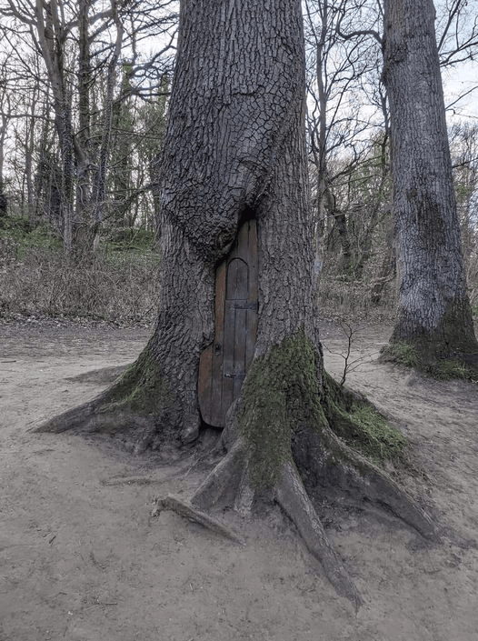 16 жутковатых фотографий, показывающих, что деревья могут поглотить любую вещь, которая будет им мешать 59