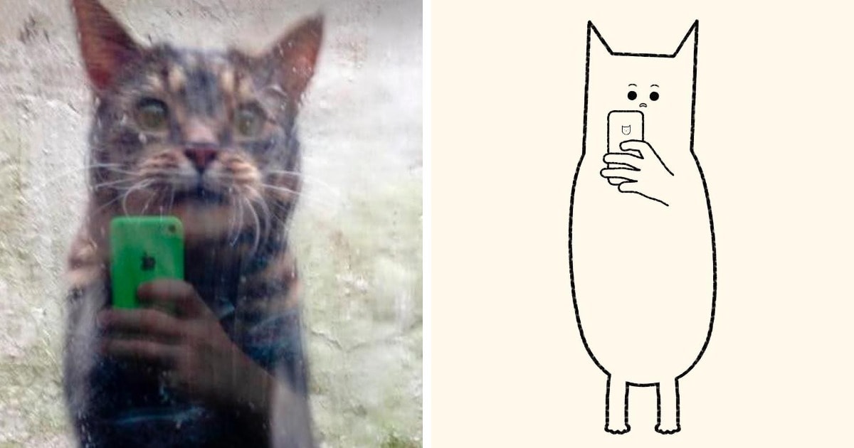 18 работ художника, который жить не может без того, чтобы не сделать из какого-нибудь кота смешную карикатуру 59