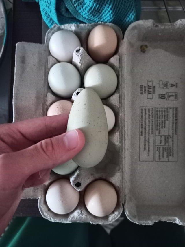 15 фотографий странных куриных яиц, которые доказывают, что даже такая простая вещь может быть удивительной 48