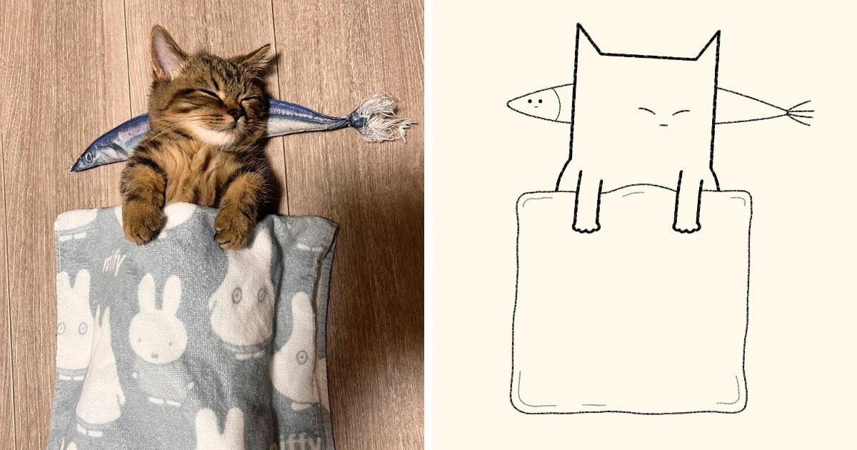 18 работ художника, который жить не может без того, чтобы не сделать из какого-нибудь кота смешную карикатуру 65
