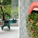 15 случаев, когда люди отказались от скучных горшков для растений и превратили их в настоящие арт-объекты