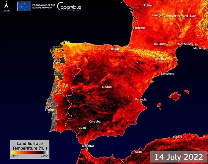 25 фото, которые наглядно иллюстрируют аномально-жаркое лето на Земле в 2022-м 75