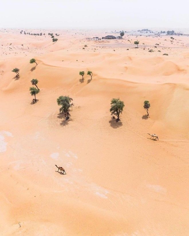 Фотограф заснял с дрона, как пустыня пожирает Дубай и Абу-Даби 36