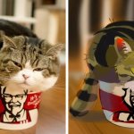 18 рисунков от художника из России, который превратит любого котика или собачку в очаровательную мультяшку