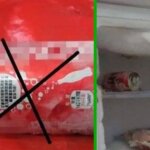 Вот что нельзя хранить долго в холодильнике в избежание взрыва