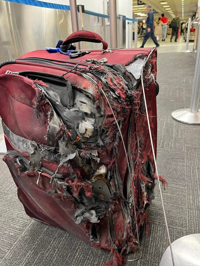 16 человек «похвастались» в сети тем, в каком виде авиакомпании вернули им вещи после перелёта 53