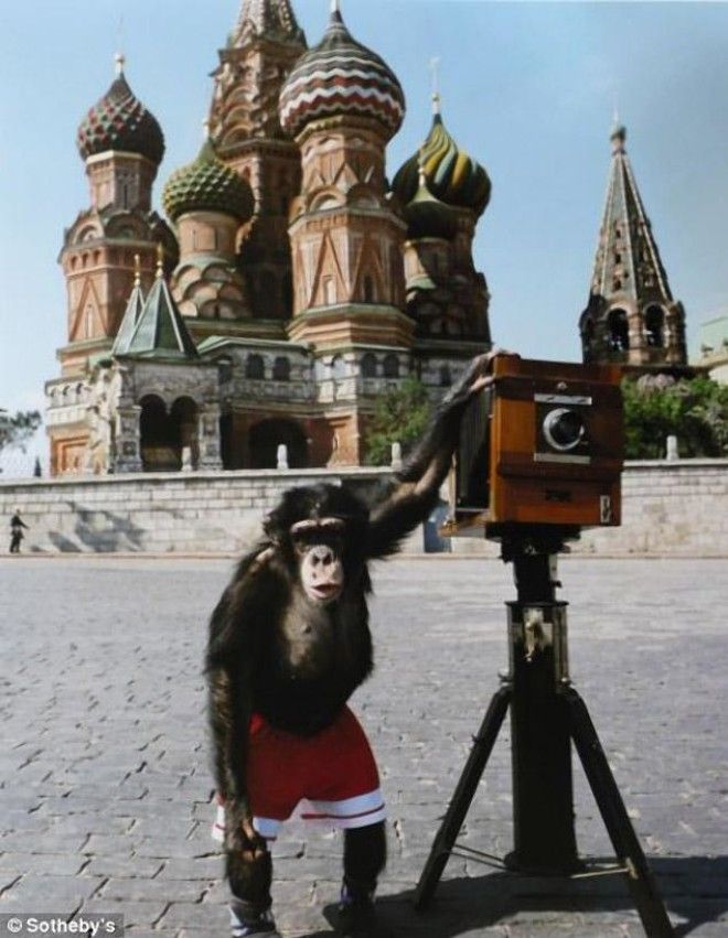 Самые дорогие фотографии из СССР 39