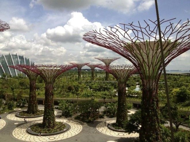 Сады будущего и супердеревья в Сингапуре 43