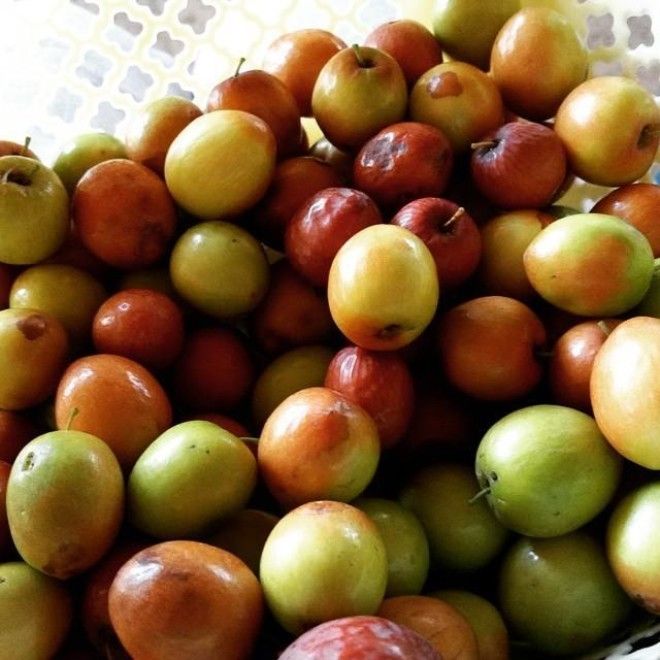 22 фрукта, о которых Вы никогда не слышали 51