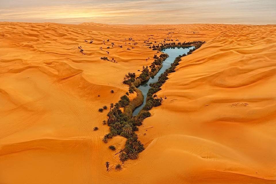 17 диковинных сокровищ и интересностей, найденных в суровых, но волшебных песках бескрайних пустынь 55