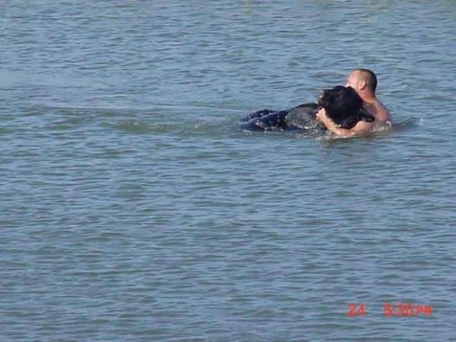 Мужчина спас в океане 180 кг медведя! 43