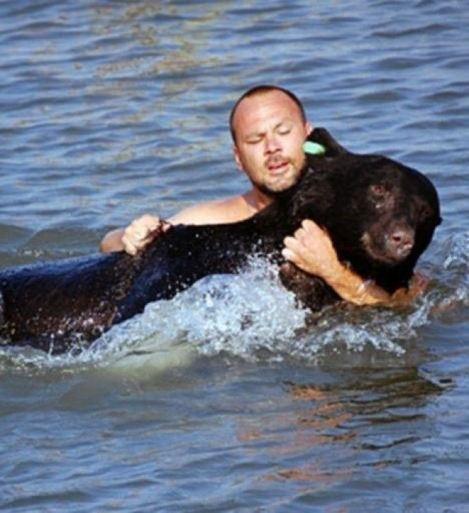 Мужчина спас в океане 180 кг медведя! 42