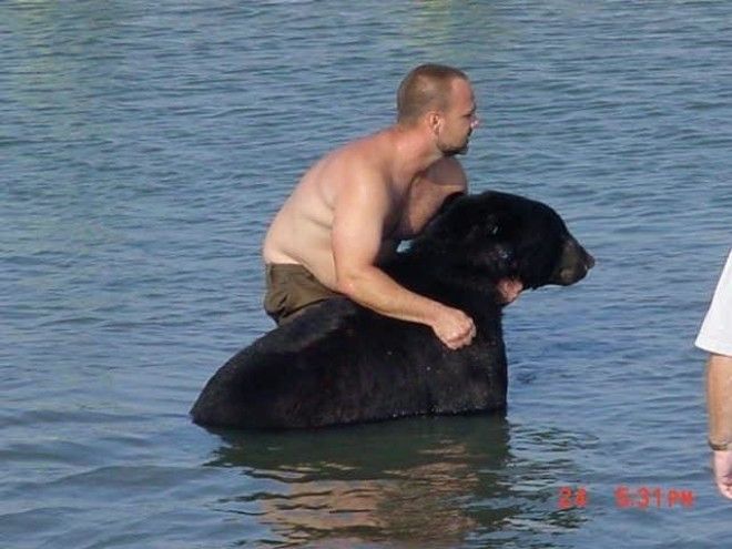 Мужчина спас в океане 180 кг медведя! 33