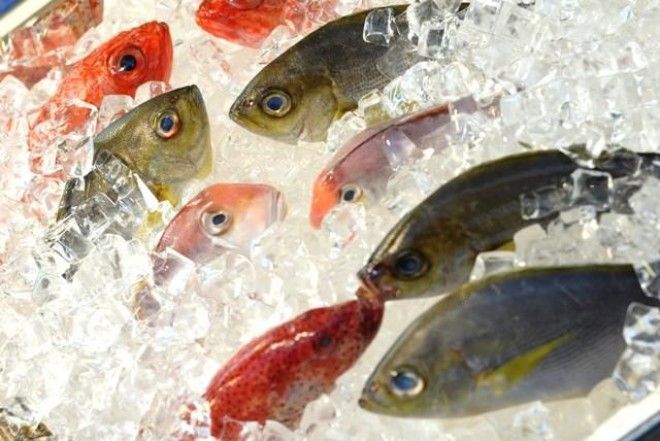 Не только рыба и не только сырая: 5 мифов о японской кухне 23