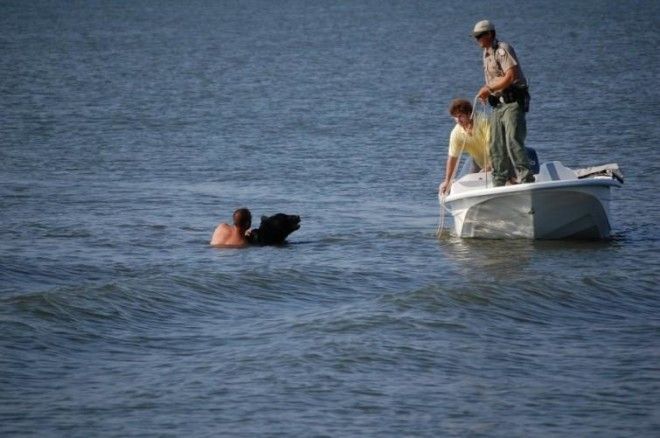 Мужчина спас в океане 180 кг медведя! 40