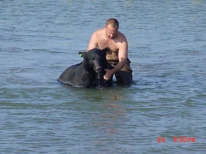 Мужчина спас в океане 180 кг медведя! 31