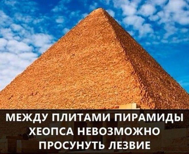 Самые интересные факты в мире в картинках 75