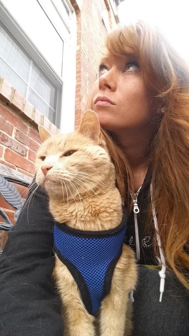 Девушка спасла 21-летнего кота, которого бросил хозяин, и решила скрасить последние дни его жизни 35
