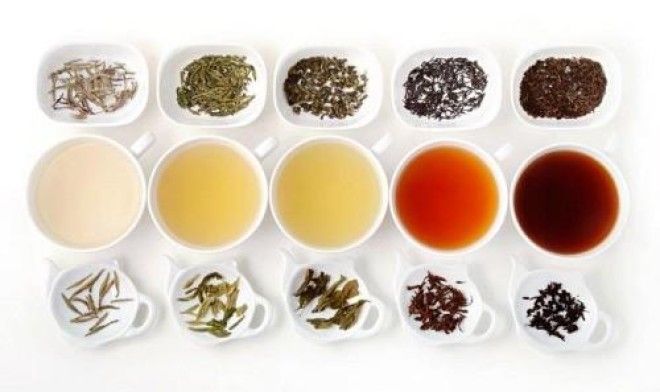 Какой чай самый полезный для здоровья 19