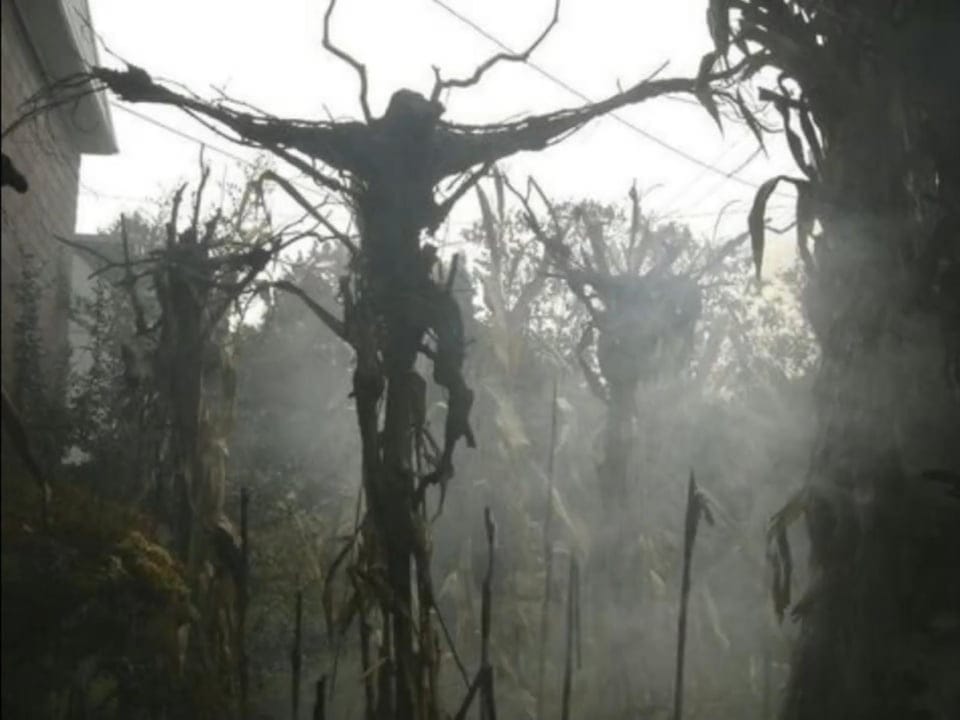 Монстры, люди и сказочные существа: 17 необычных деревьев, которые сумели мастерски притвориться чем-то другим 54