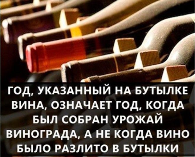 Самые интересные факты в мире в картинках 67