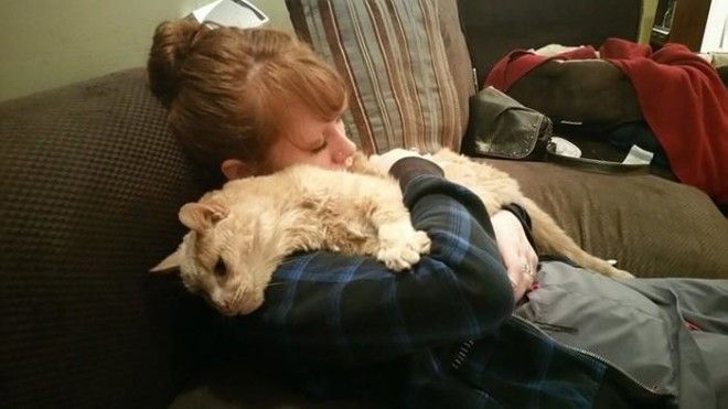 Девушка спасла 21-летнего кота, которого бросил хозяин, и решила скрасить последние дни его жизни 37