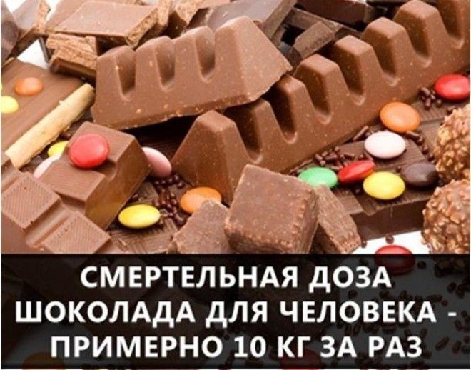 Самые интересные факты в мире в картинках 83