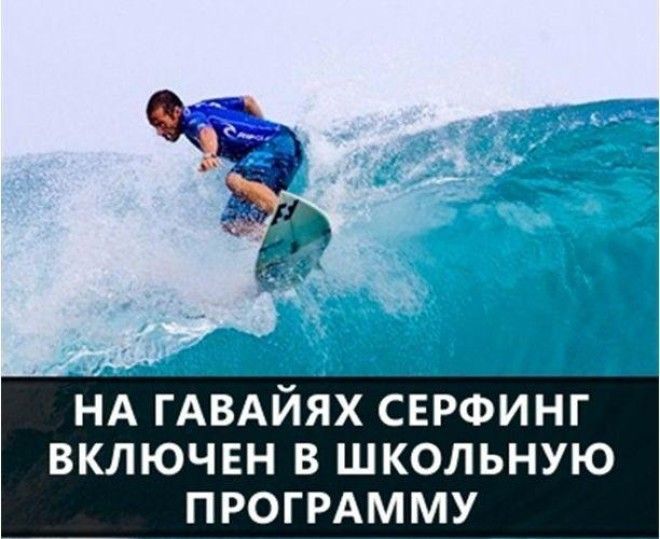 Самые интересные факты в мире в картинках 66