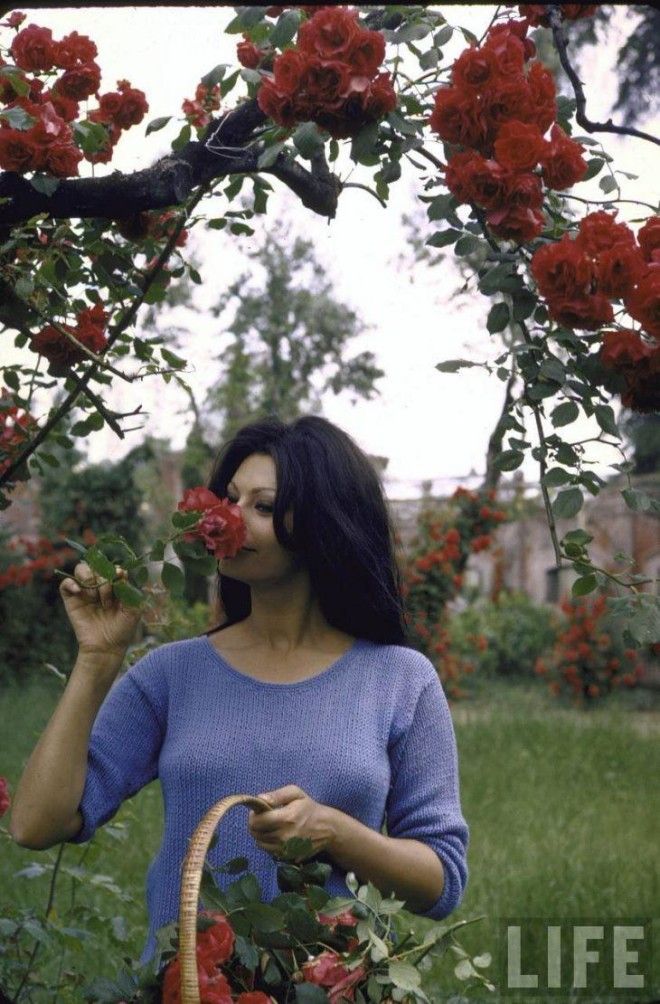 Молодая Софи Лорен на шикарной вилле: 18 уникальных архивных снимков 41