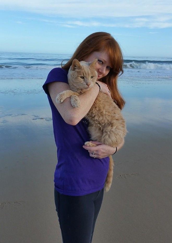 Девушка спасла 21-летнего кота, которого бросил хозяин, и решила скрасить последние дни его жизни 43