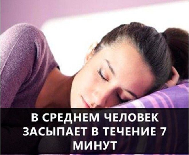 Самые интересные факты в мире в картинках 78