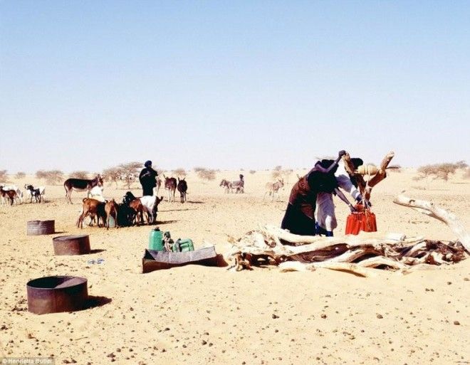 Африканский народ туареги, у которых царит матриархат 43
