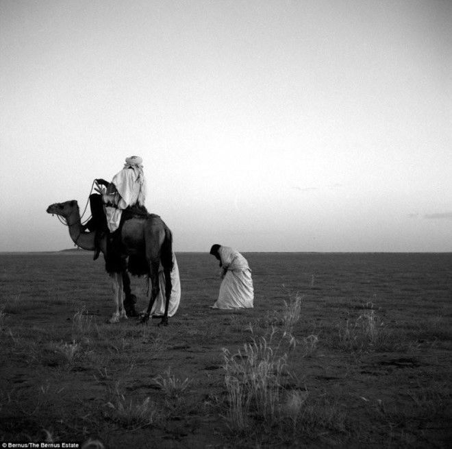 Африканский народ туареги, у которых царит матриархат 44