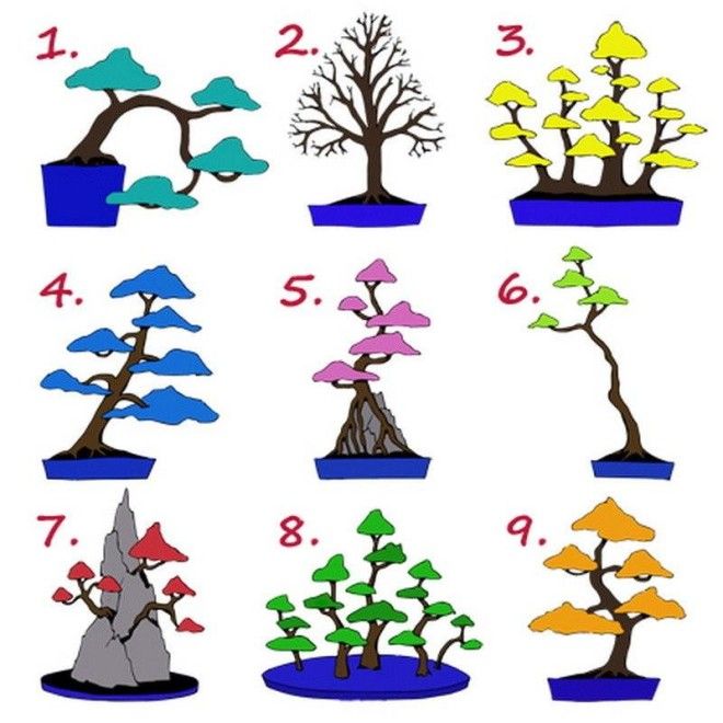 Выберите дерево и узнайте, к какой работе вы предрасположены 4
