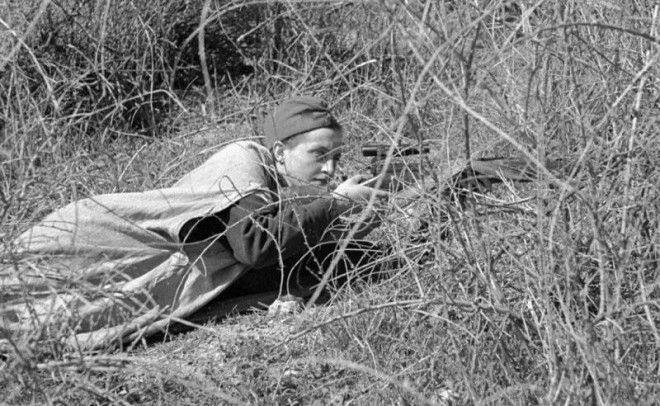 Советские женщины-снайперы: Мы косили гитлеровцев, как зрелое зерно 36