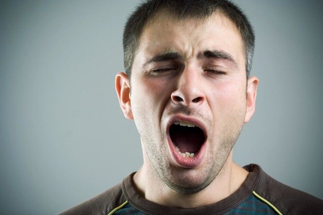 Почему мы зеваем и для чего человеку необходимо зевать? 13