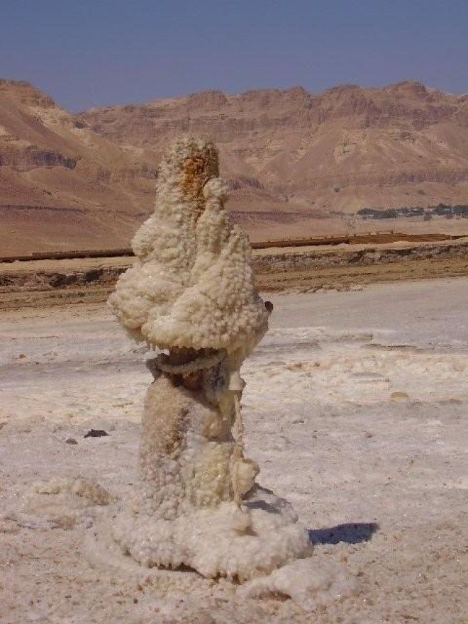 Уникальное Мертвое море 51