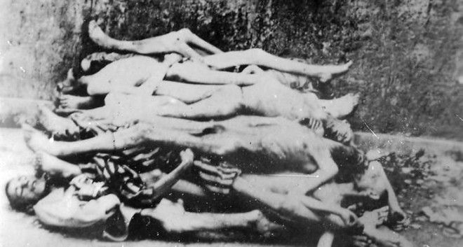 Чудовище Бухенвальда — история самой жестокой женщины в мире 23