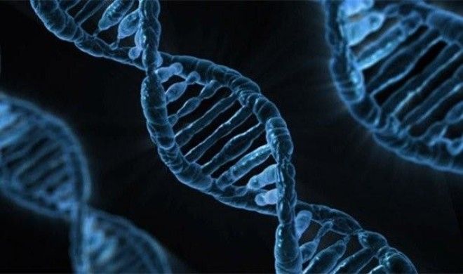 Факты про ДНК, благодаря которым вы узнаете о себе немного больше 45