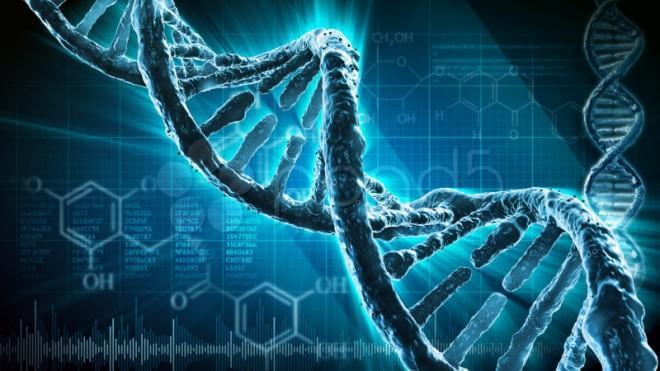 Без ДНК человека не было бы