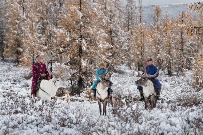 Один день из жизни монгольской семьи оленеводов 40