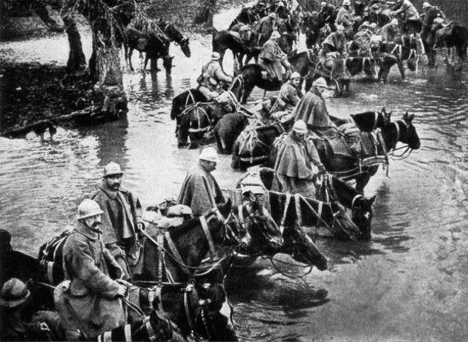 20 интересных фактов о Первой мировой войне 49