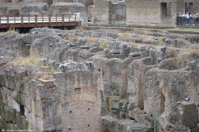 Римский Колизей изнутри 42