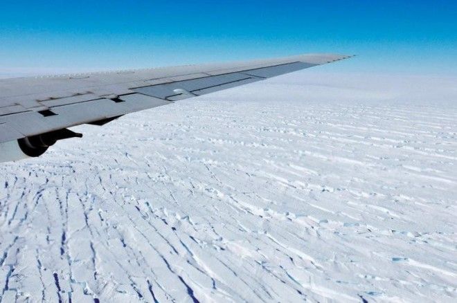 Затерянный мир: как наши ученые нашли подо льдами Антарктиды новые формы жизни 45