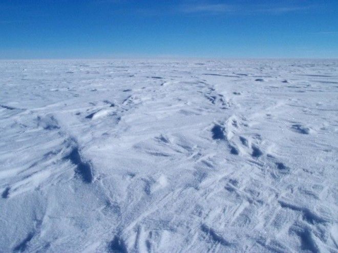 Затерянный мир: как наши ученые нашли подо льдами Антарктиды новые формы жизни 42