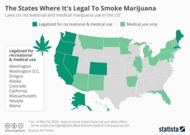 Свободная трава: где в мире легализовали марихуану, где хотят легализовать и где не сажают в тюрьму 20