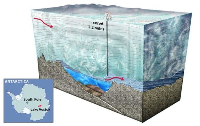 Затерянный мир: как наши ученые нашли подо льдами Антарктиды новые формы жизни 47